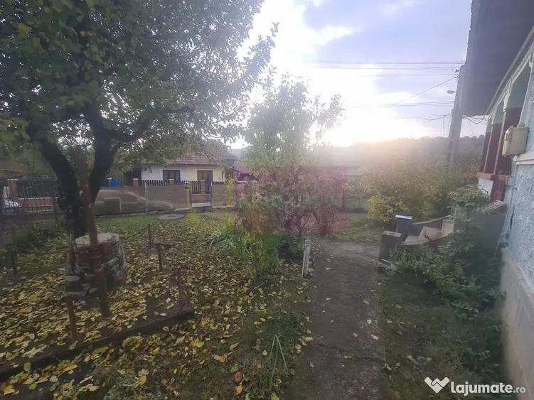 Casă cu 3 camere cu Teren 3410 Mp în Aluniș