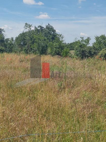 Teren agricol intravilan de 727 mp, în Dobreni