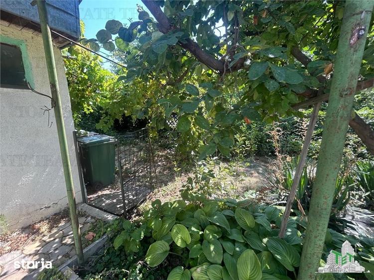 Vanzare teren cu casa Damaroaia - 1