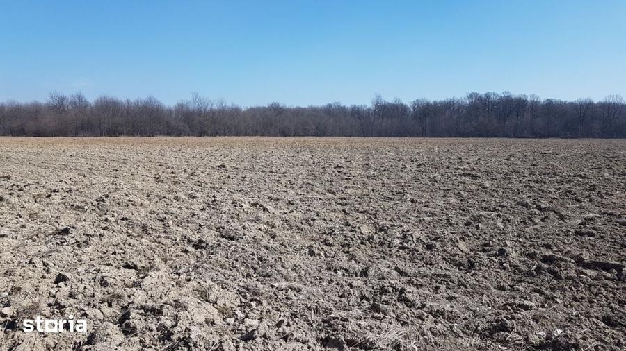 Teren de 30000 mp, în Răcari