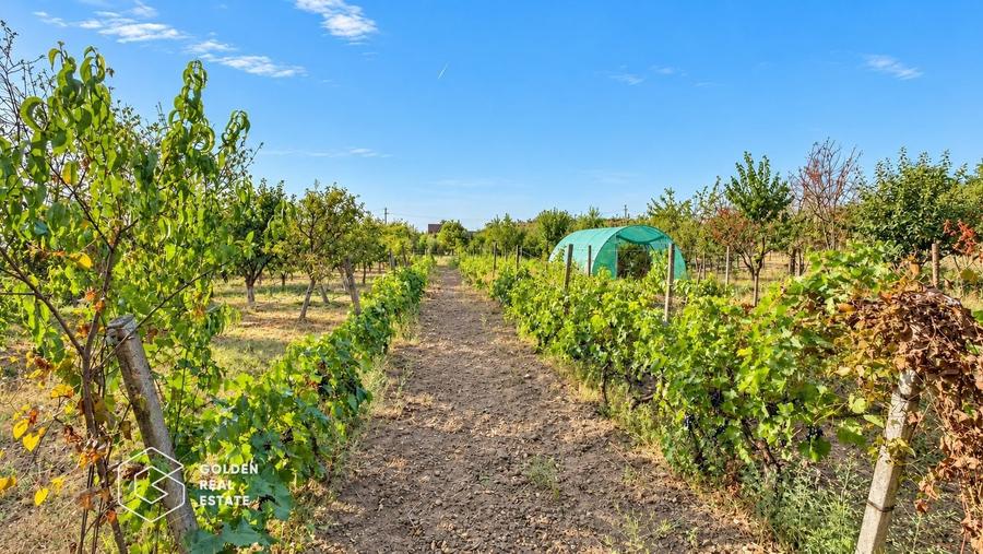 Casă individuală cu 7 camere cu Canalizare în Mâsca