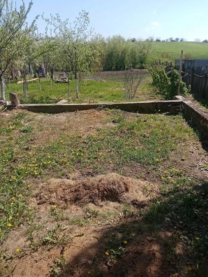 Teren de 700 mp, în Băcălești