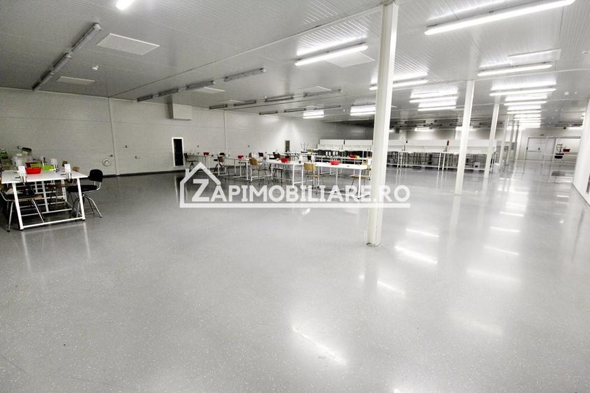 Spațiu comercial, de 1,000 mp, în Crăiești