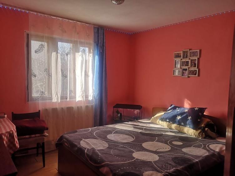 Casă cu 2 camere în Lunca Cetățuii