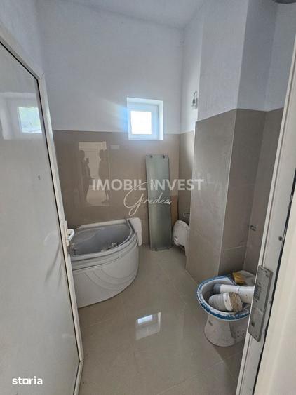 Spațiu comercial, de 118 mp, în Pianu