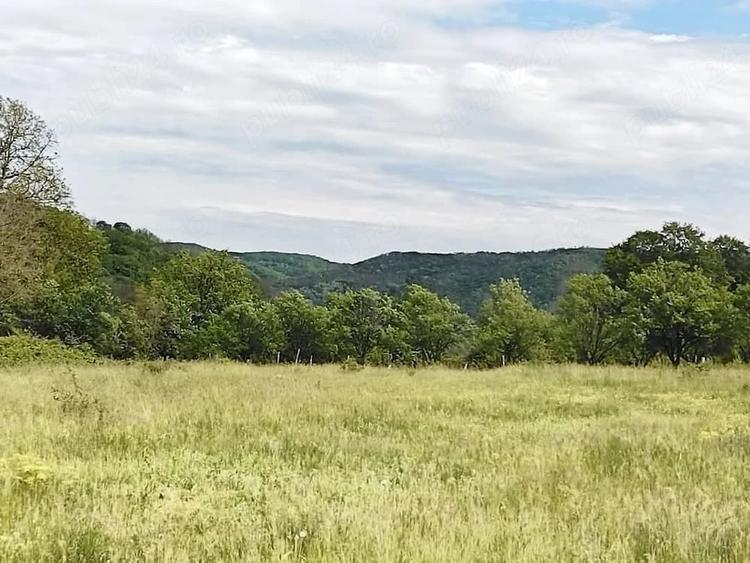 Teren de 2749 mp, în Valea Sălciilor