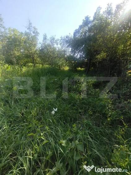 TEREN INTRAVILAN DE VANZARE - LUNCA MURESULUI 700 MP - 5