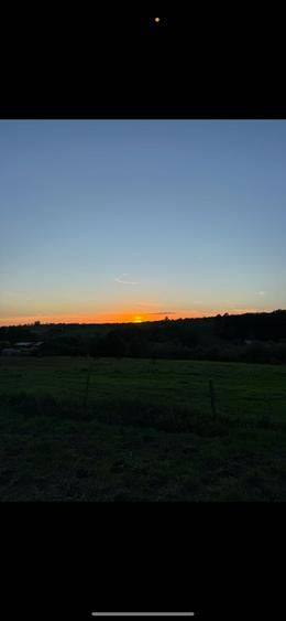 Teren de 6000 mp, în Sălciua Nouă