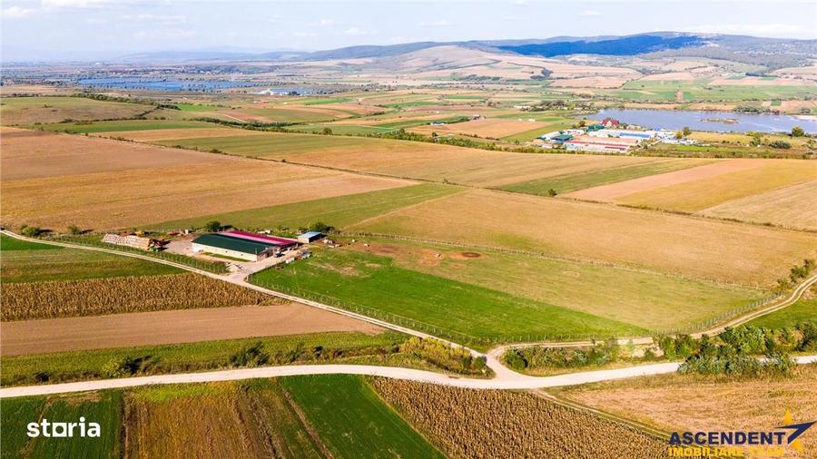 Teren de 18000 mp, în Feldioara