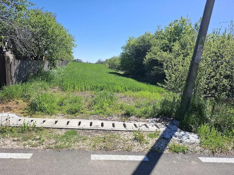Teren de 4300 mp, în Vedea