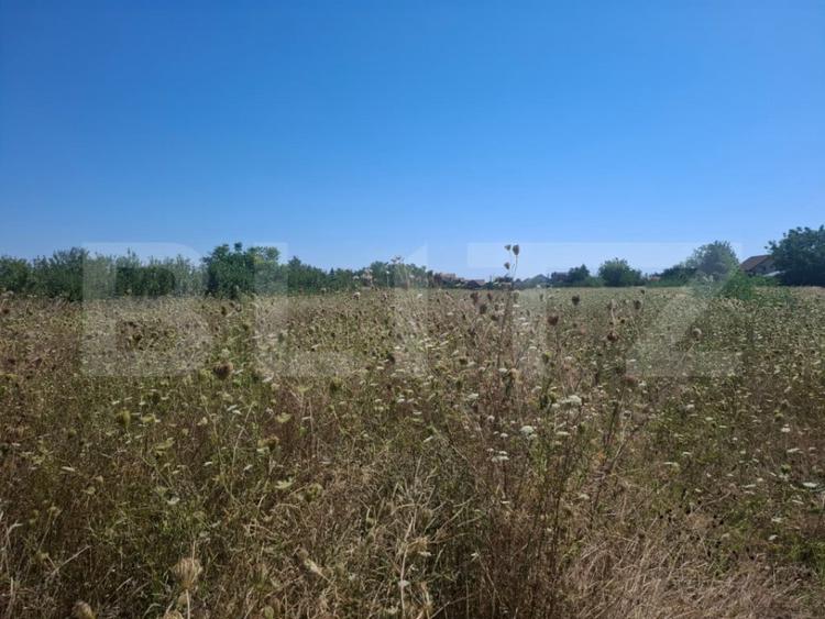Teren de 3000 mp, în Dumbrava
