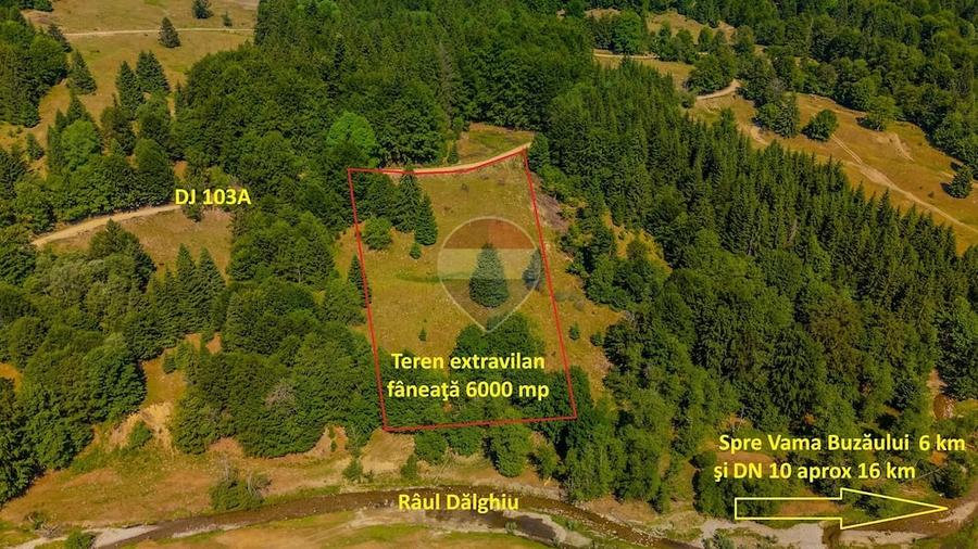 Teren de 6000 mp, în Dălghiu