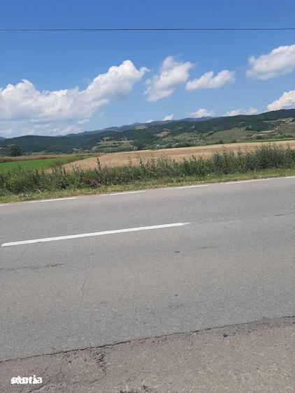 Teren de 5200 mp, în Vințu de Jos