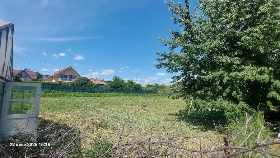 Casă cu Teren 2500 Mp în Șerbănești