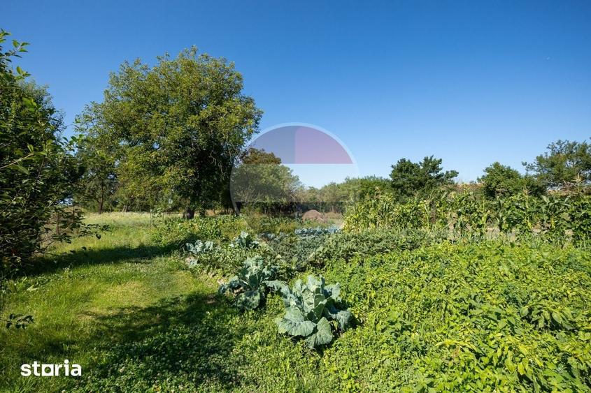 Casă cu 4 camere cu Teren 1346 Mp în Comana