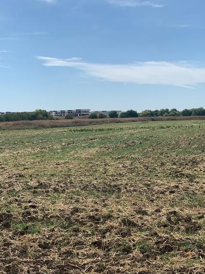 Teren Construcții intravilan de 21200 mp, în Tunari