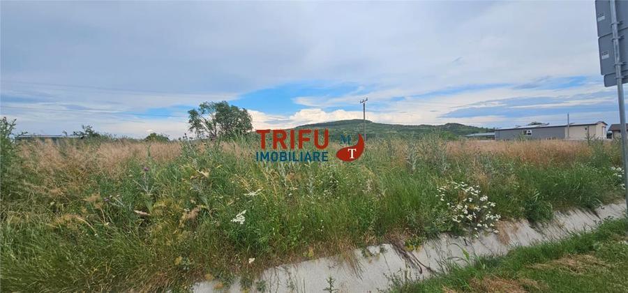 Teren Construcții intravilan de 9087 mp, în Ighiu