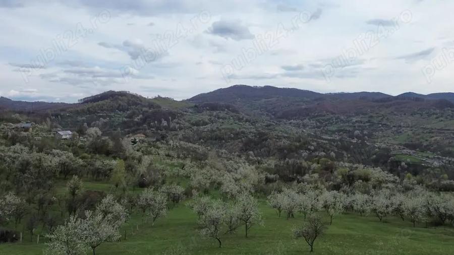 Teren de 8316 mp, în Berislăvești