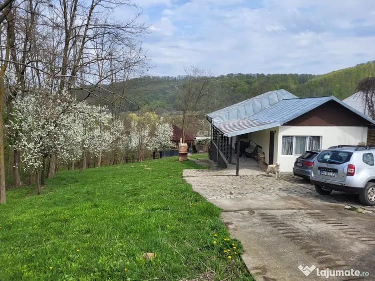 Casă cu 3 camere în Central