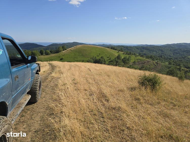 Teren de 150000 mp, în Cerbăl
