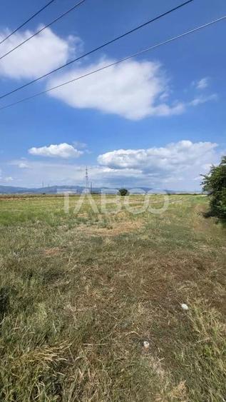 Teren de 3900 mp, în Pianu
