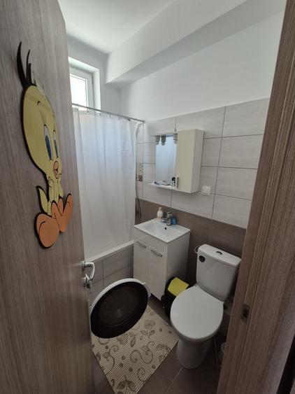 Inchiriez apartament cu gradina! - 10