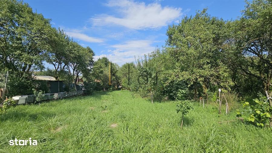 Teren de 3172 mp, în Aiton
