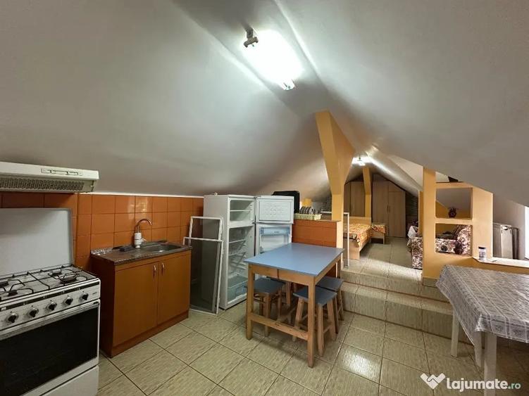 VIGAFON - Casa 8 camere Negoiesti-Prahova - 4