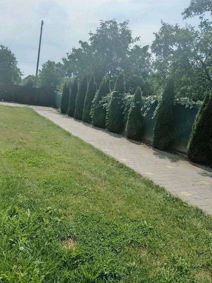 Casă cu 6 camere cu Teren 650 Mp în Piața Cluj