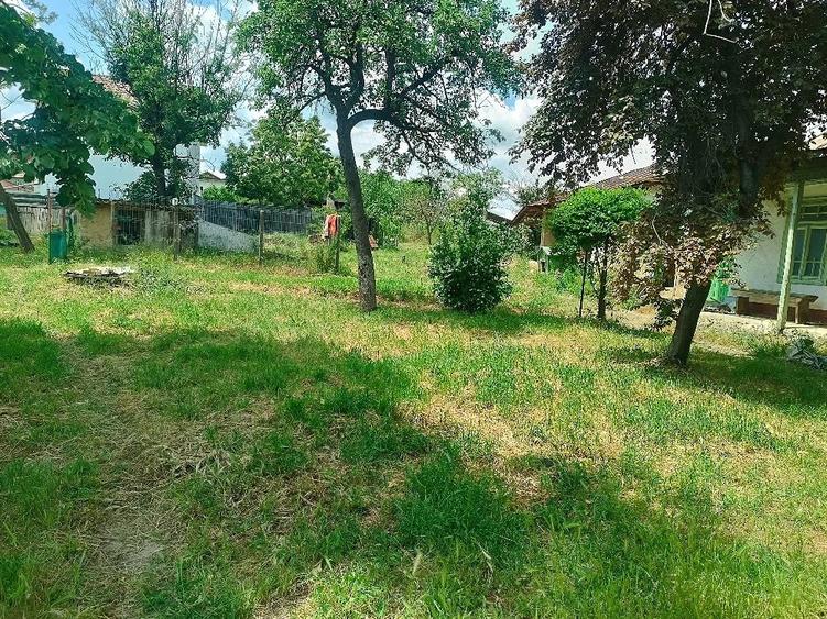 Casă cu 4 camere cu Teren 1490 Mp în Tămăoani
