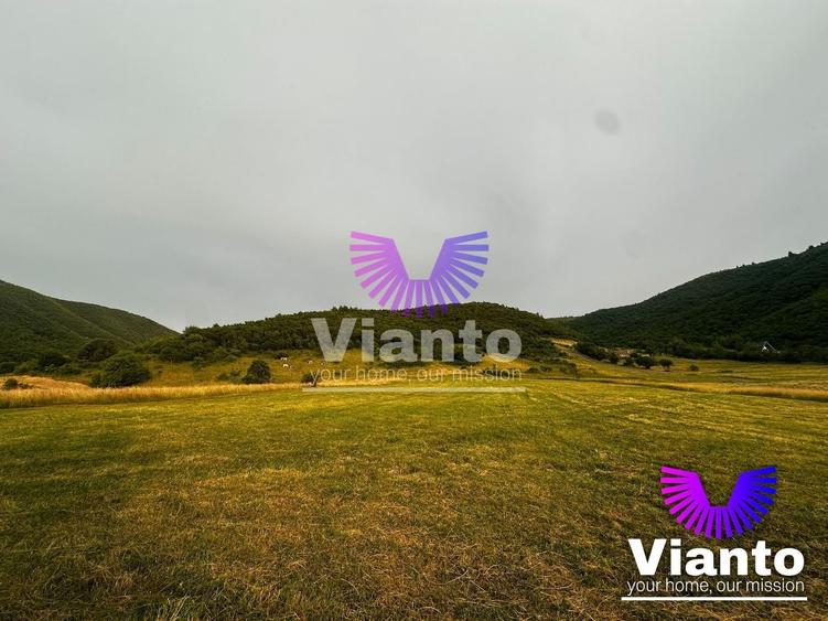 Teren agricol extravilan de 3408 mp, în Gura Râului