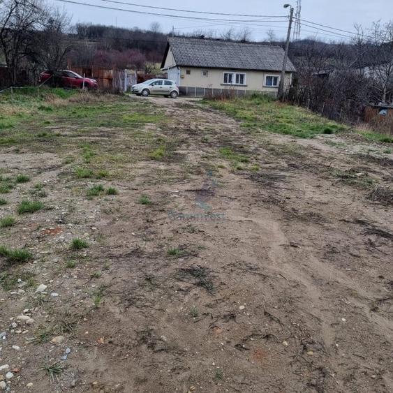 Teren Construcții intravilan de 3133 mp, în Cantemir