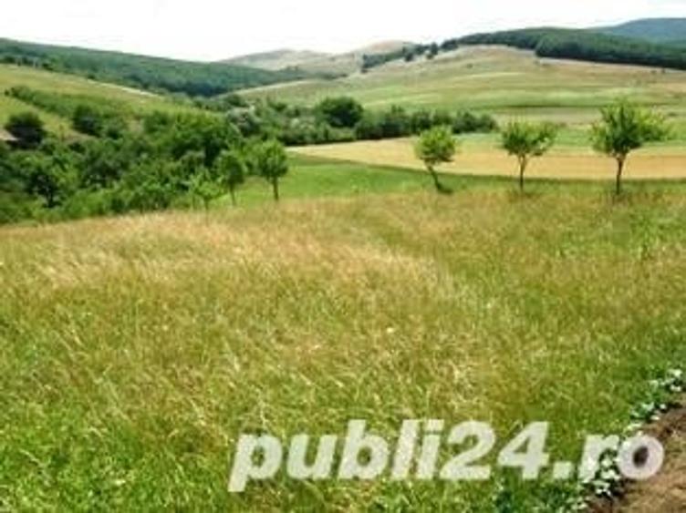 Teren de 6825 mp, în Ortelec