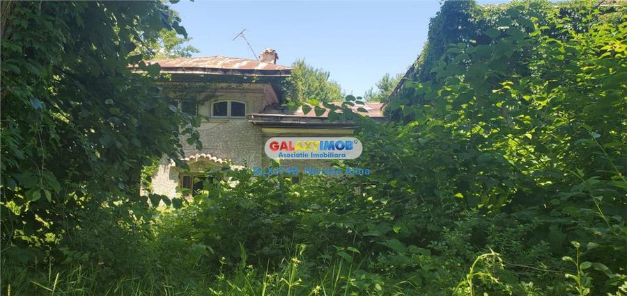 Teren Construcții intravilan de 12765 mp, în Bogați