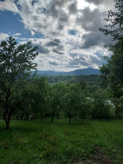Teren de 3150 mp, în Poiana