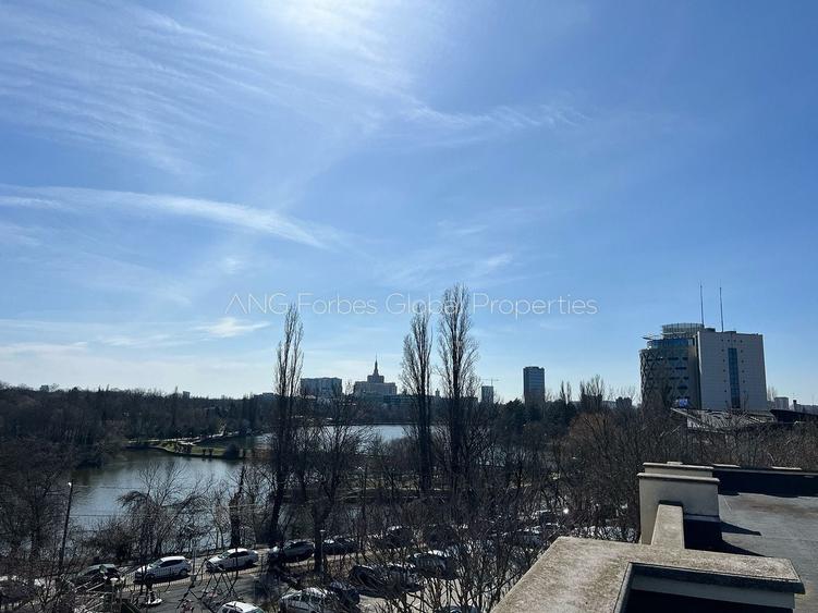Casă individuală cu 18 camere cu Piscina în Băneasa