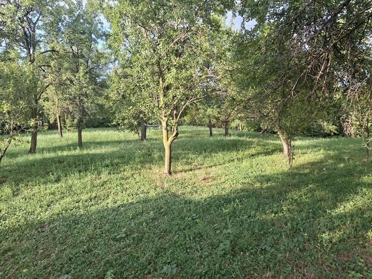 Teren de 5524 mp, în Poiana