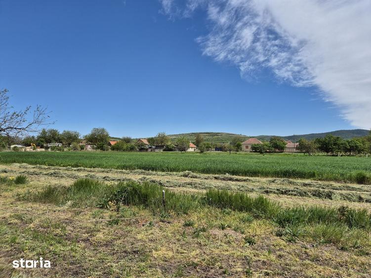 Casă cu 3 camere cu Teren 4260 Mp în Covăsinț