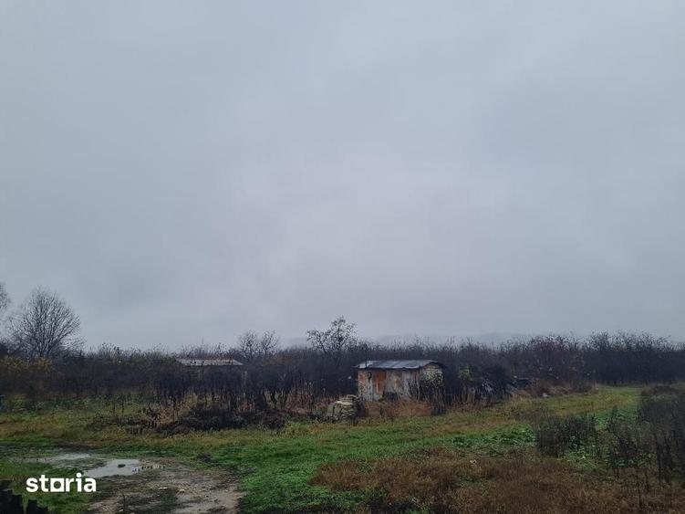 Teren de 86312 mp, în Mărăcineni