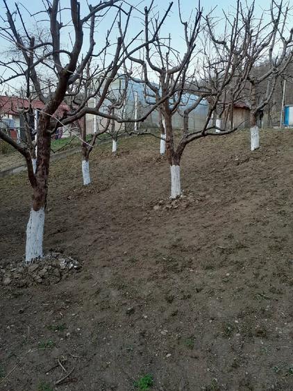 Casă cu Teren 5000 Mp în Bughea de Jos