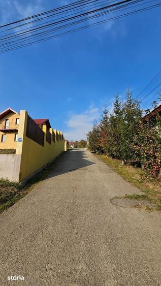Teren extravilan Luncani-Bacau - 6