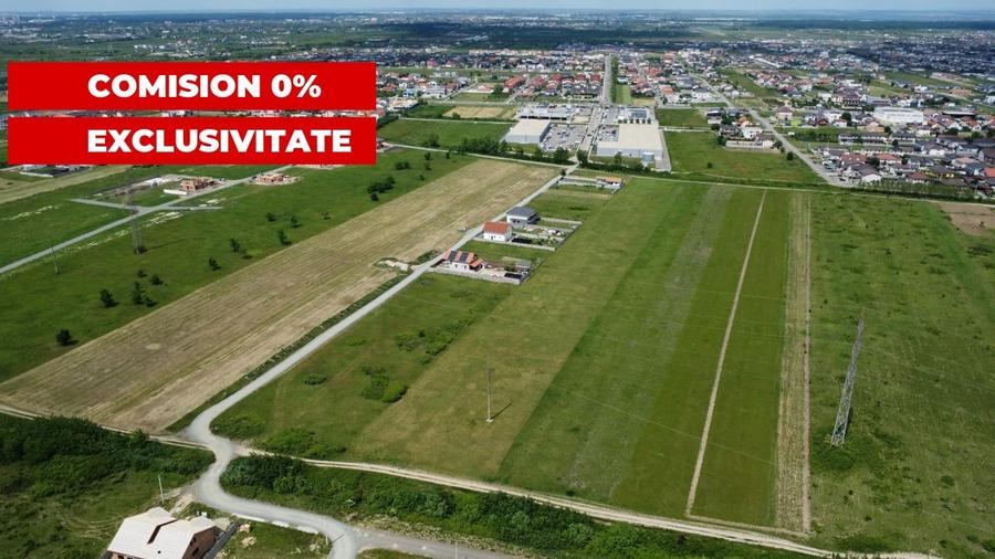 Teren extravilan - Mosnita Noua - Oportunitate investitie - 1