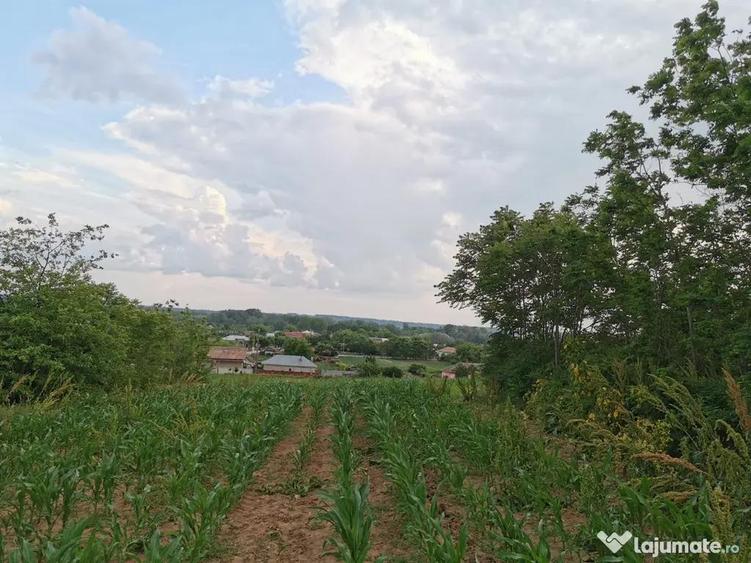 Teren de 2800 mp, în Șopârlița