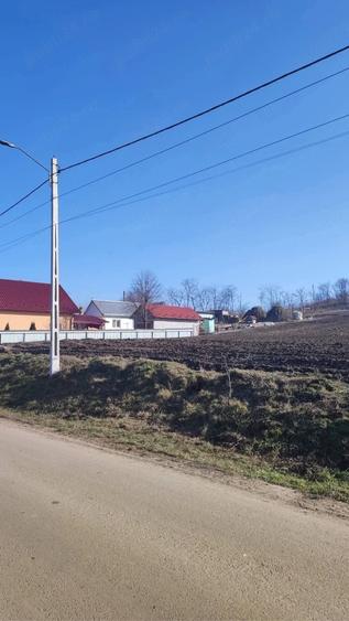 Teren de 5600 mp, în Ungureni