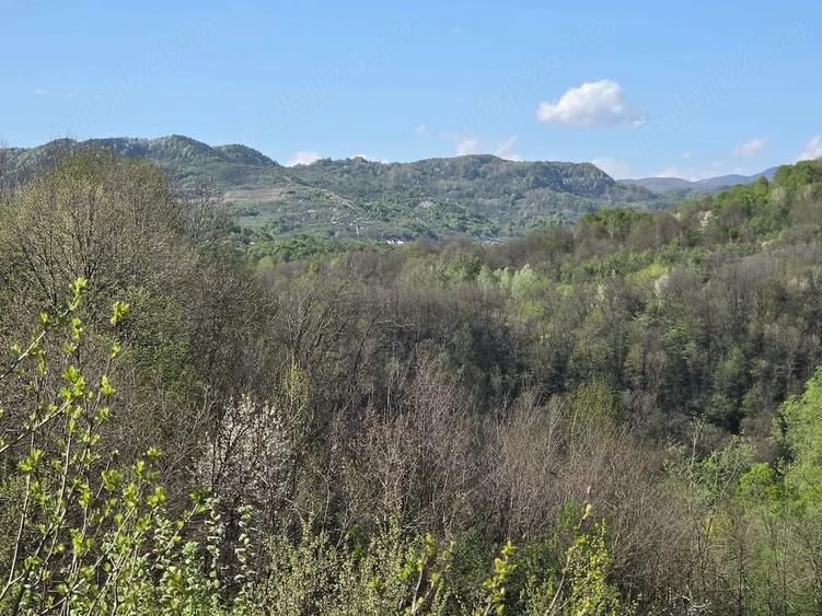 Teren de 6788 mp, în Gura Bărbulețului