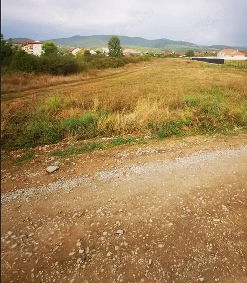 Teren de 5800 mp, în Cetate