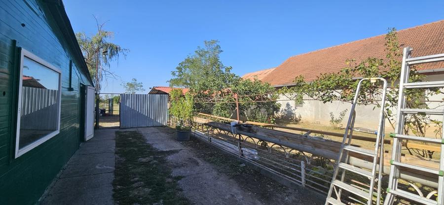 Casă individuală cu 6 camere cu Canalizare în Gelu