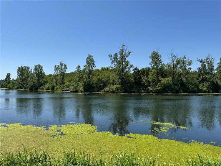 Teren intravilan de 2600 mp, în Găneasa