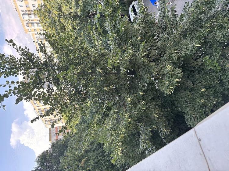 Apartament cu 2 camere decomandat în Doamna Ghica
