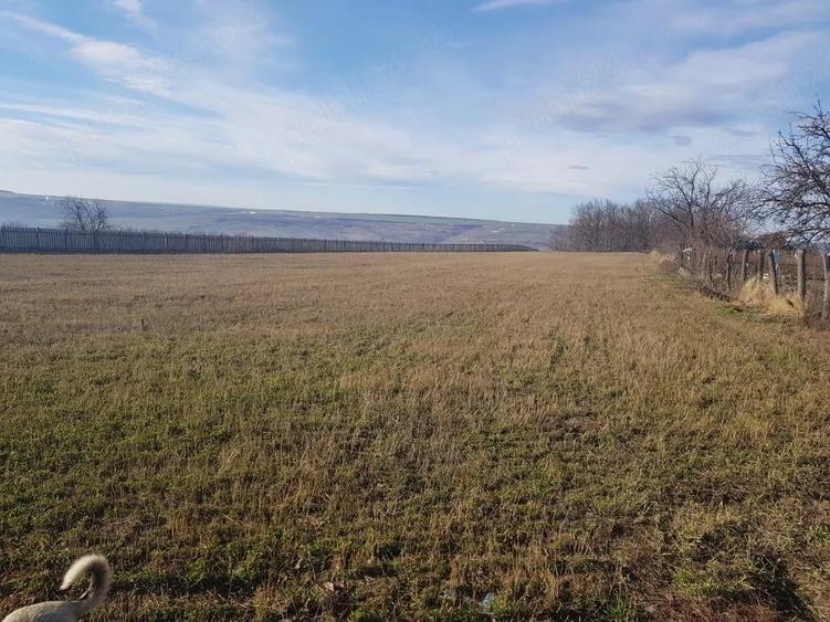 Teren de 5000 mp, în Schitu Hadâmbului